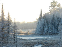 Winter-scene