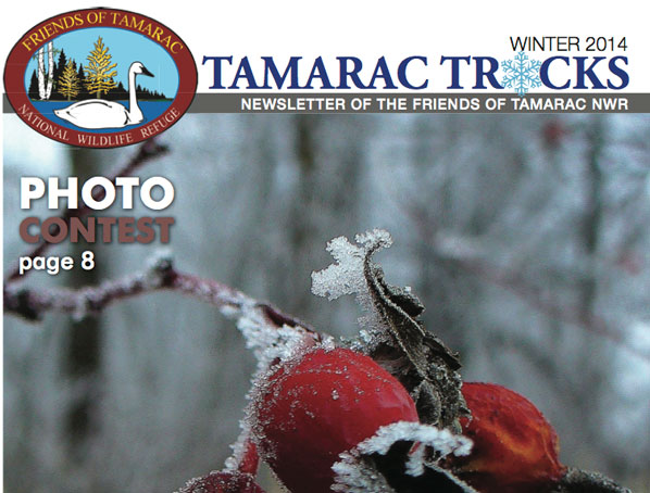 Tamarac-Tracks-Winter-2014th